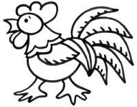 Cocosi