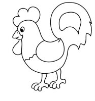 Cocosi