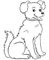 Caini
