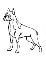 Caine