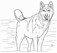 Caine