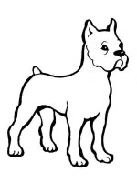 Caine