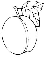 Caise
