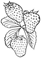 Capsune
