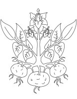 Cartofi