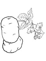 Cartofi