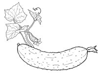 Castravete