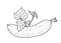 Castravete
