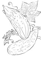 Castravete