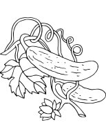 Castravete