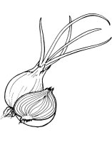 Ceapa