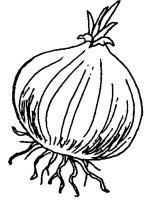 Ceapa
