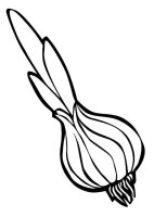 Ceapa