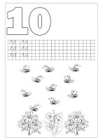 Cifra 10
