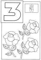 Cifra 3