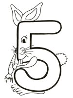 Cifra 5