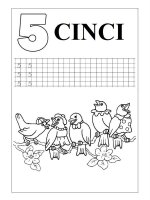 Cifra 5