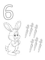 Cifra 6