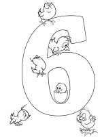 Cifra 6