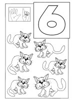 Cifra 6