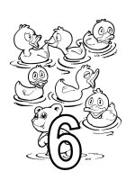 Cifra 6