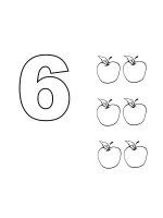 Cifra 6