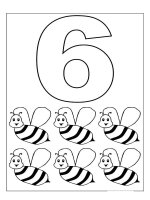 Cifra 6