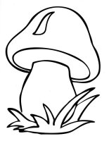 Ciuperca