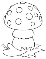 Ciuperca