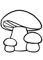 Ciuperca