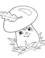 Ciuperca