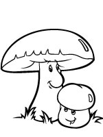 Ciuperca
