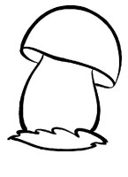 Ciuperca