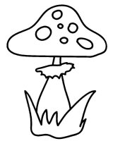 Ciuperca