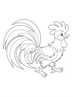 Cocosi