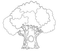 Copac