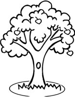 Copac