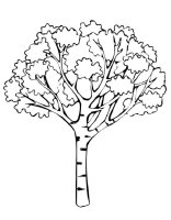 Copac