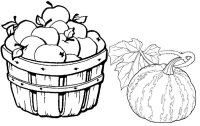 Cos cu fructe