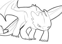 Cum sa iti dresezi dragonul