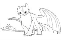 Cum sa iti dresezi dragonul