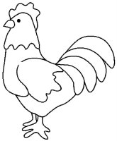 Cocosi