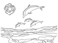 Delfin