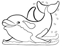 Delfin