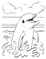 Delfin