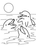 Delfin