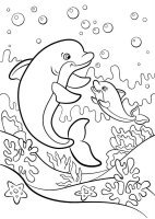 Delfin