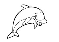 Delfin