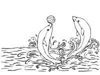 Delfin