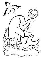 Delfin